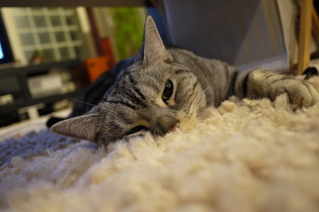 P1010656