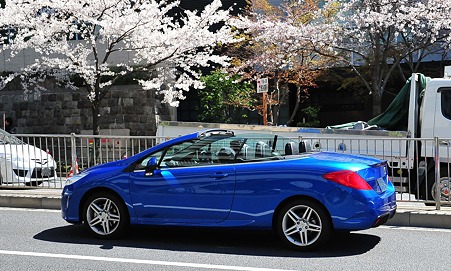 2012/4 Cherry blossom＠千鳥ヶ淵-22