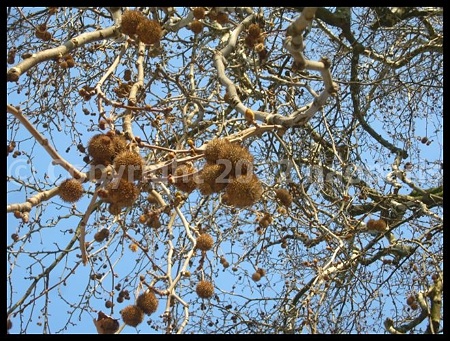 P3030711