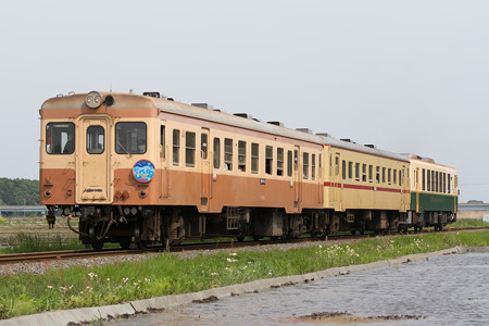 DSC_4545-2