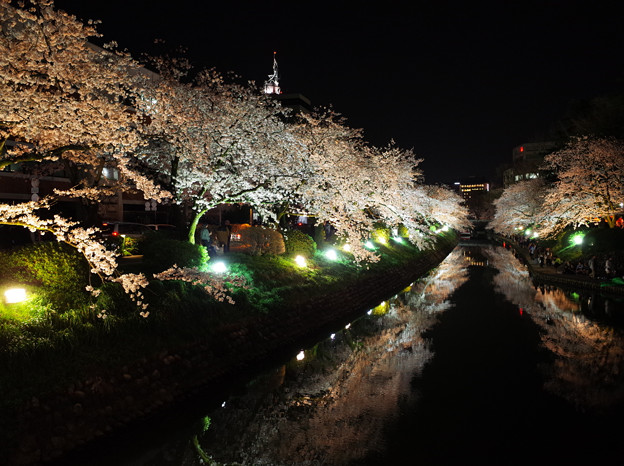 富山松川べり桜満開 写真共有サイト フォト蔵