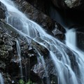IMG_93190