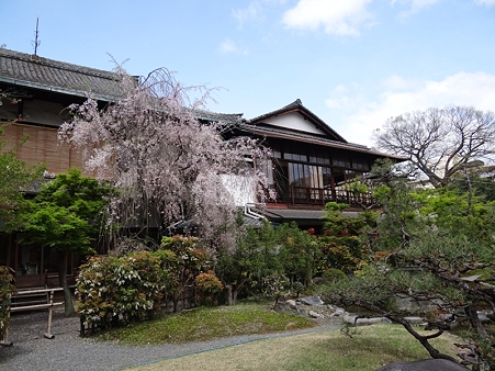 DSC04355_R