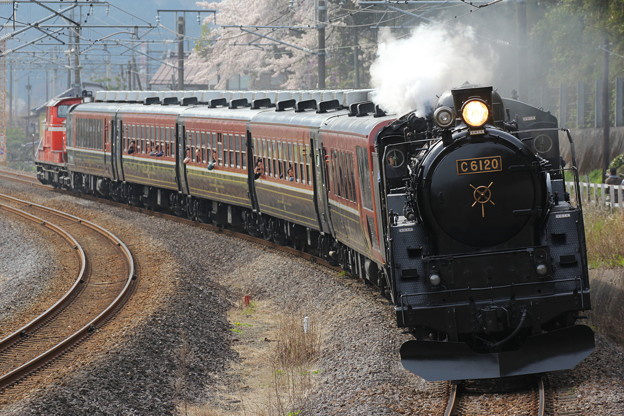 C61 12系客車新潟車 Dd51 842 快速sl碓氷物語号 照片共享頁面 攝影藏