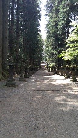 冨士北口浅間神社の参道