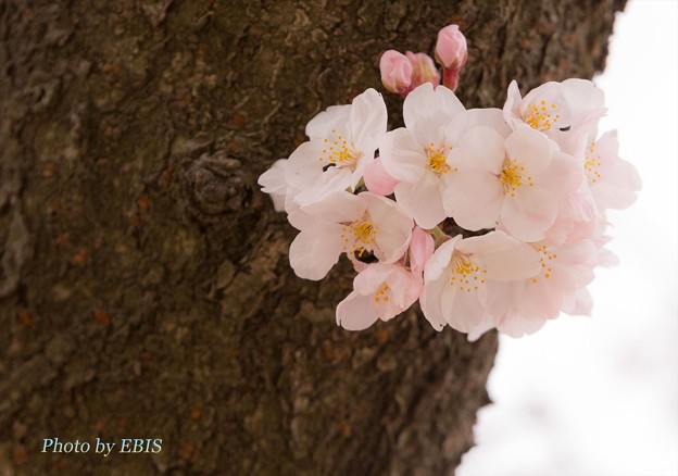 IMG_1524LR5CS6iL_L2048