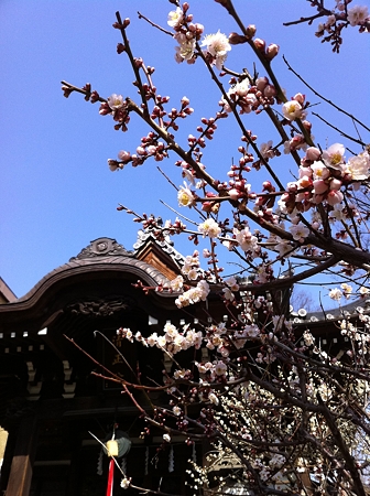 iP120320_002