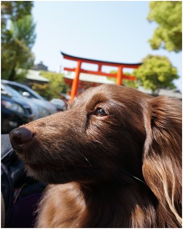 2015042409