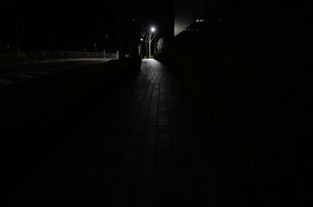 夜の坂道２