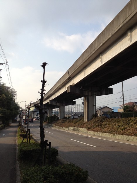 桃花台線の高架橋から飛び出すウレタン? 1/2