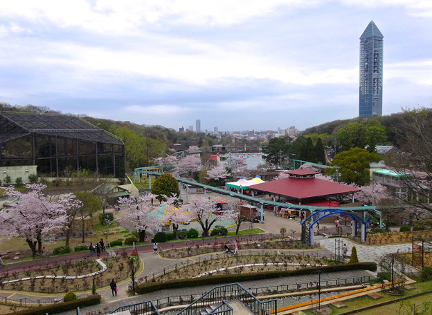 春の東山動植物園 No - 077:バラ園の展望台から見た景色(2015/4/4)