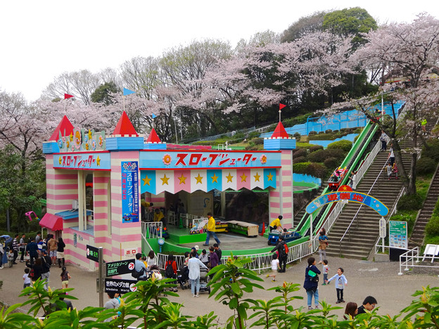 春の東山動植物園 No - 135:50周年を迎えた「スロープシューター」(2015/4/4)