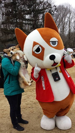 20150222_112806