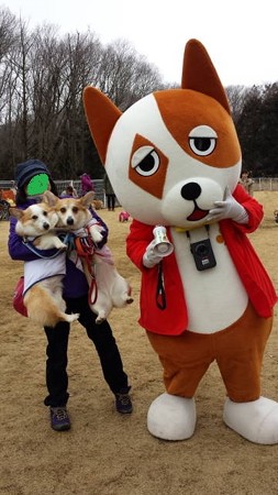 20150222_112929
