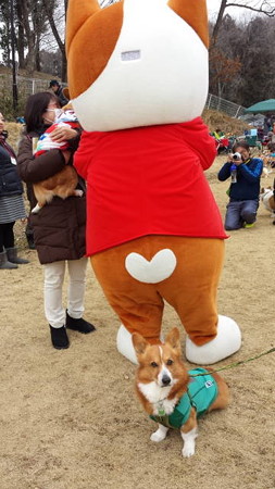 20150222_113340