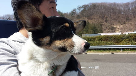 20150329_110722