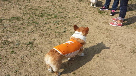 20150322_094040