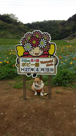20150419_112516