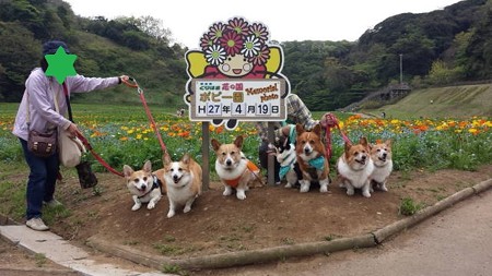 20150419_112727