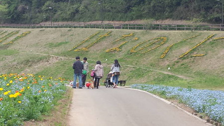 20150419_113245