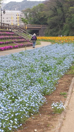 20150419_113321