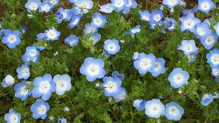 20150419_113445