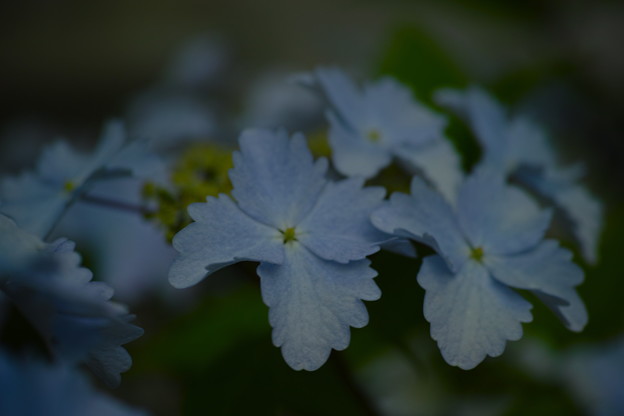 _SDI0124