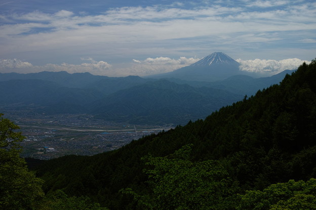 SDIM0274