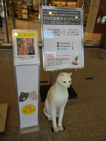 岩合光昭の世界ネコ歩き 写真展 招き猫?