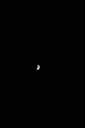 Half-moon03012012sd15