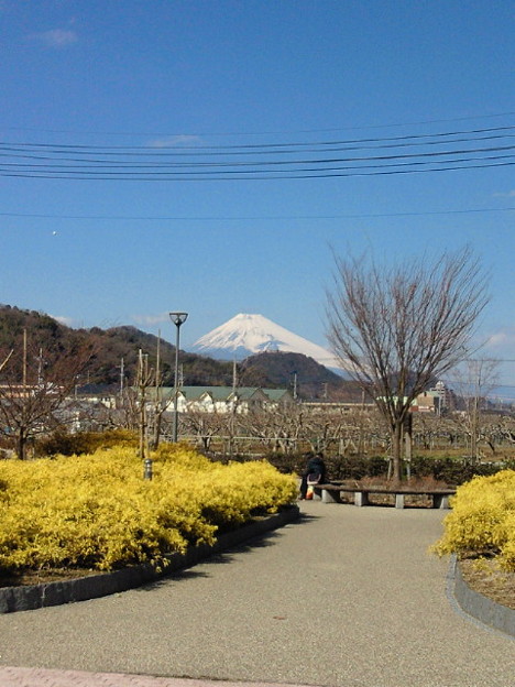 狩野川リバーサイドパークって 富士山がこんなに綺麗に見えるんだ 写真共有サイト フォト蔵