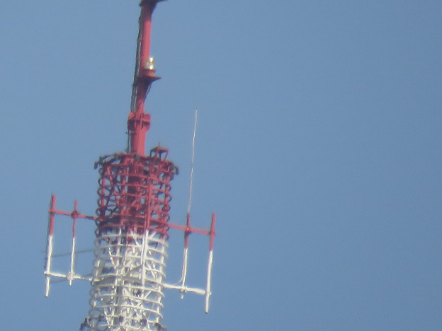 resize2391 写真: resize2391