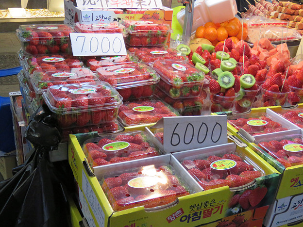 resize2470 写真: resize2470