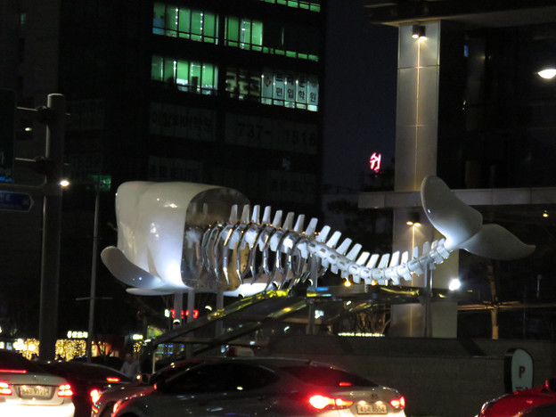 resize2485 写真: resize2485