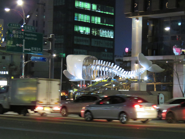 resize2490 写真: resize2490