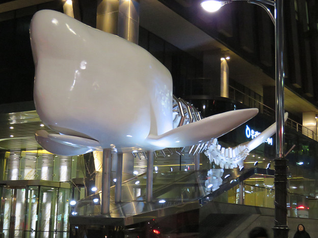 resize2492 写真: resize2492