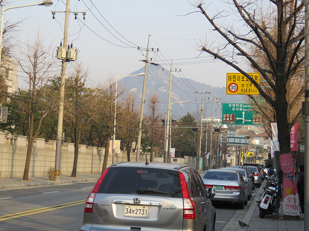 resize2589 写真: resize2589