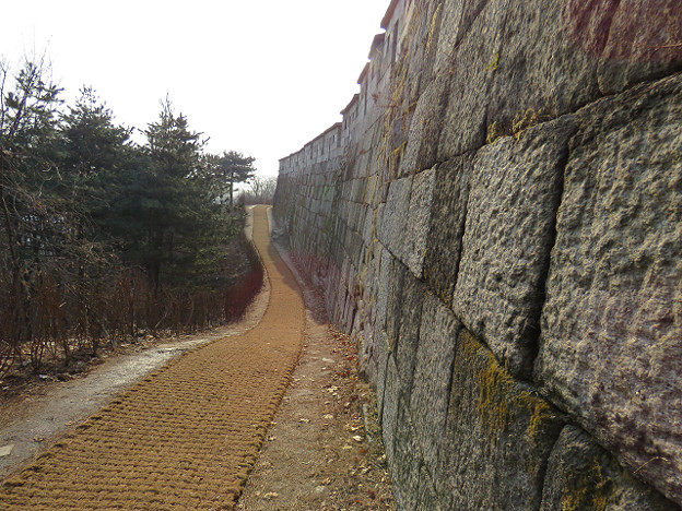 resize2605 写真: resize2605