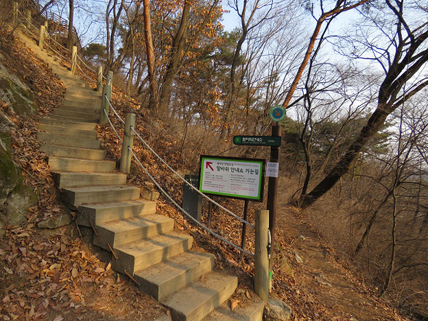 resize2606 写真: resize2606