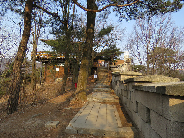 resize2619 写真: resize2619