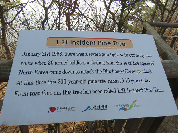 resize2641 写真: resize2641