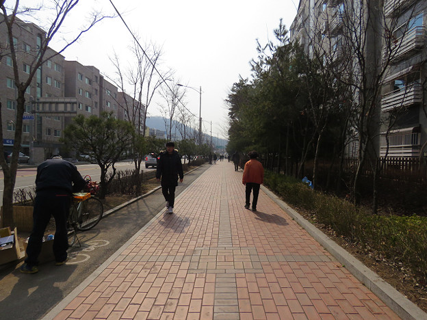 resize2728 写真: resize2728
