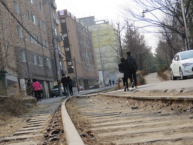 resize2736 写真: resize2736