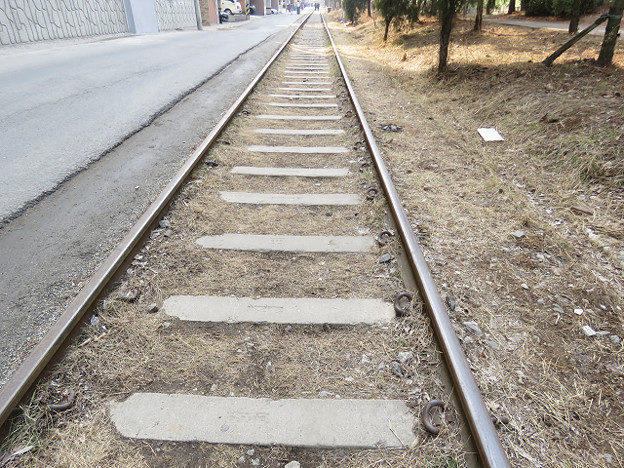 resize2743 写真: resize2743