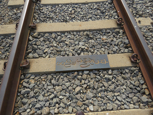 resize2764 写真: resize2764