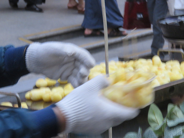 resize2911 写真: resize2911