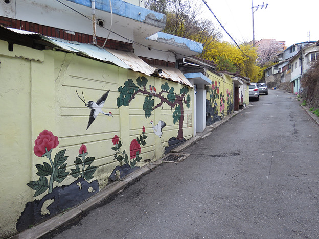 resize2989 写真: resize2989