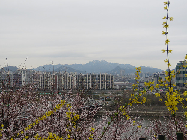 resize2995 写真: resize2995