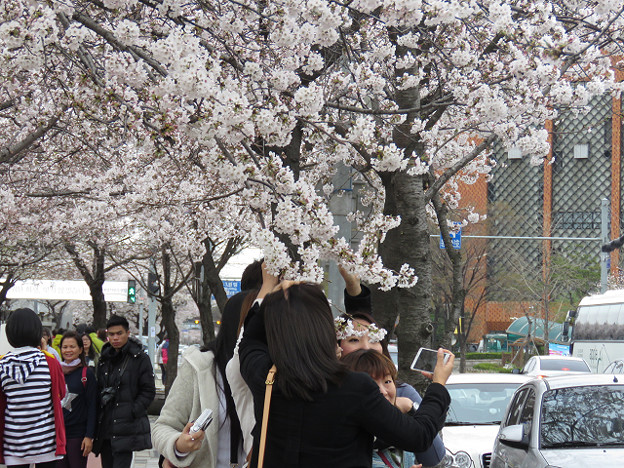 resize3027 写真: resize3027