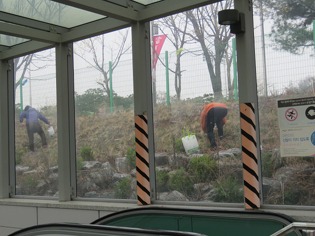 resize3036 写真: resize3036